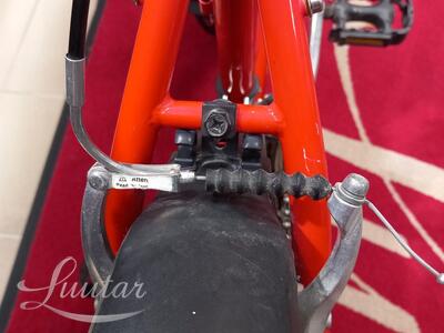 Jalgratas Scott Timber 26