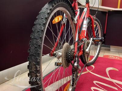 Jalgratas Scott Timber 26