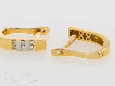 Kuldkõrvarõngad 585*