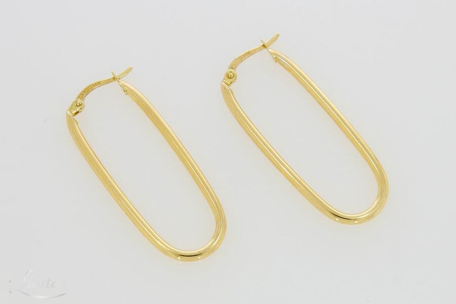 Kuldkõrvarõngad 585*