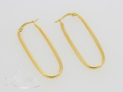 Kuldkõrvarõngad 585*