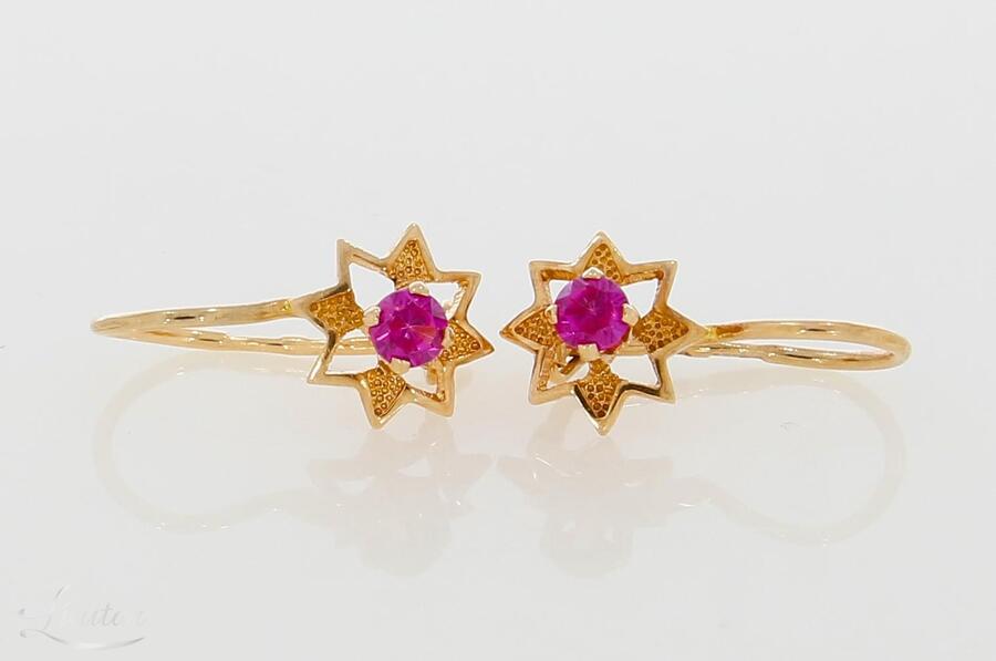 Kuldkõrvarõngad 585*