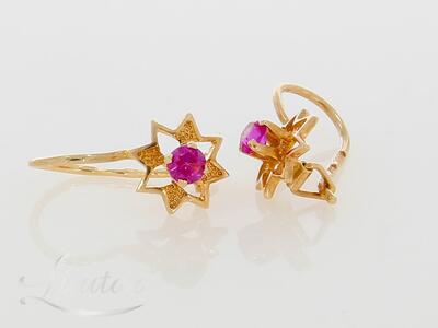 Kuldkõrvarõngad 585*