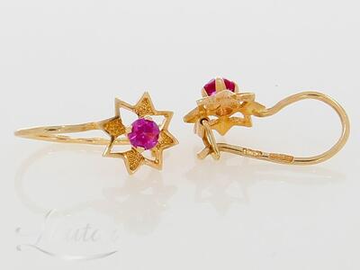 Kuldkõrvarõngad 585*