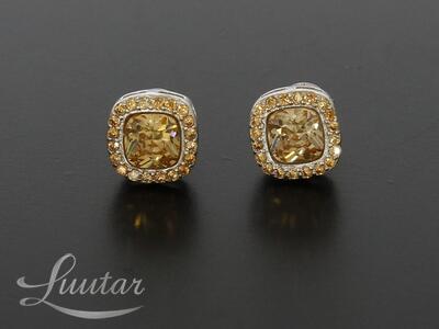 Hõbekõrvarõngad 925* UUED!