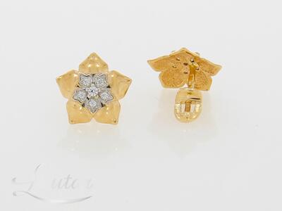 Kuldkõrvarõngad 585*