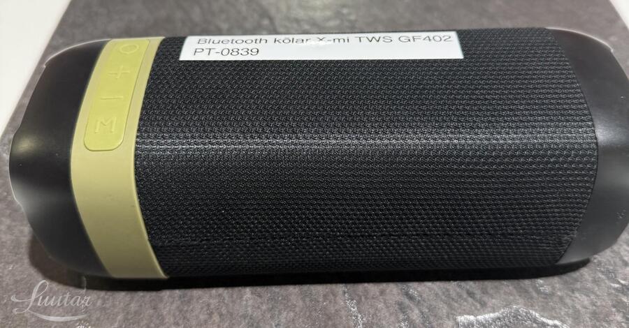 Kõlar X-mi TWS GF402  