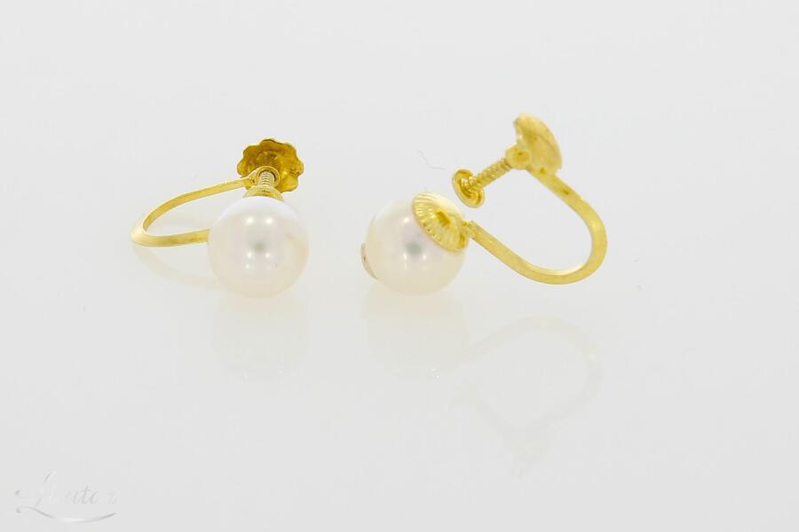 Kuldkõrvarõngad 585*