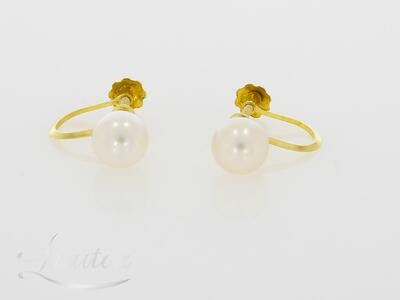 Kuldkõrvarõngad 585*