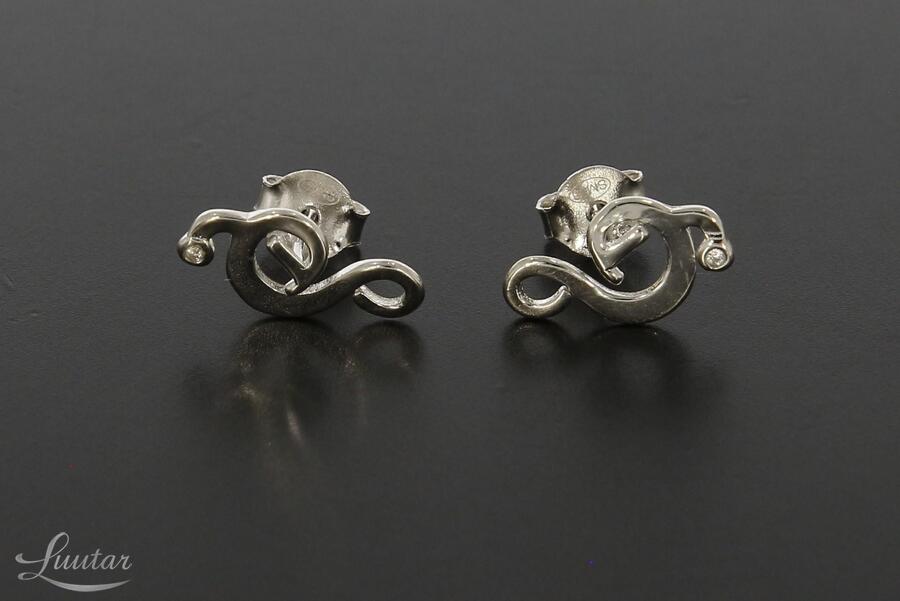 Hõbekõrvarõngad 925* UUED!