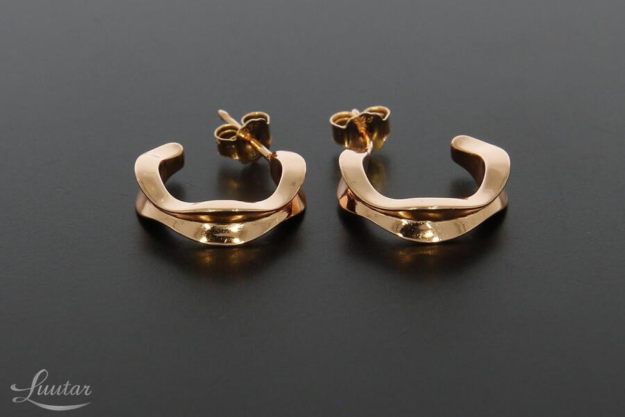 Hõbekõrvarõngad 925* UUED