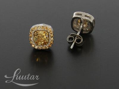 Hõbekõrvarõngad 925* UUED!