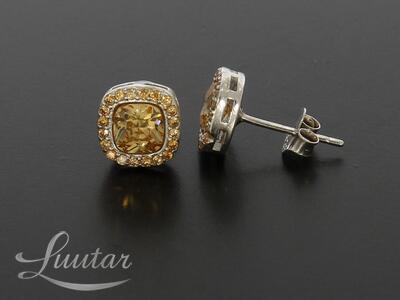 Hõbekõrvarõngad 925* UUED!