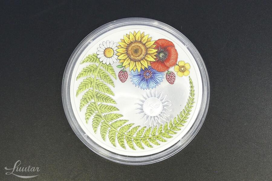 Hõbemünt 999* Eesti Vabariik 2025