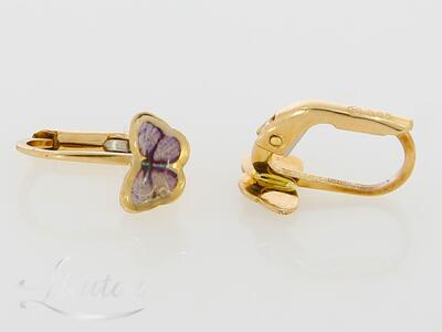 Kuldkõrvarõngad 585*