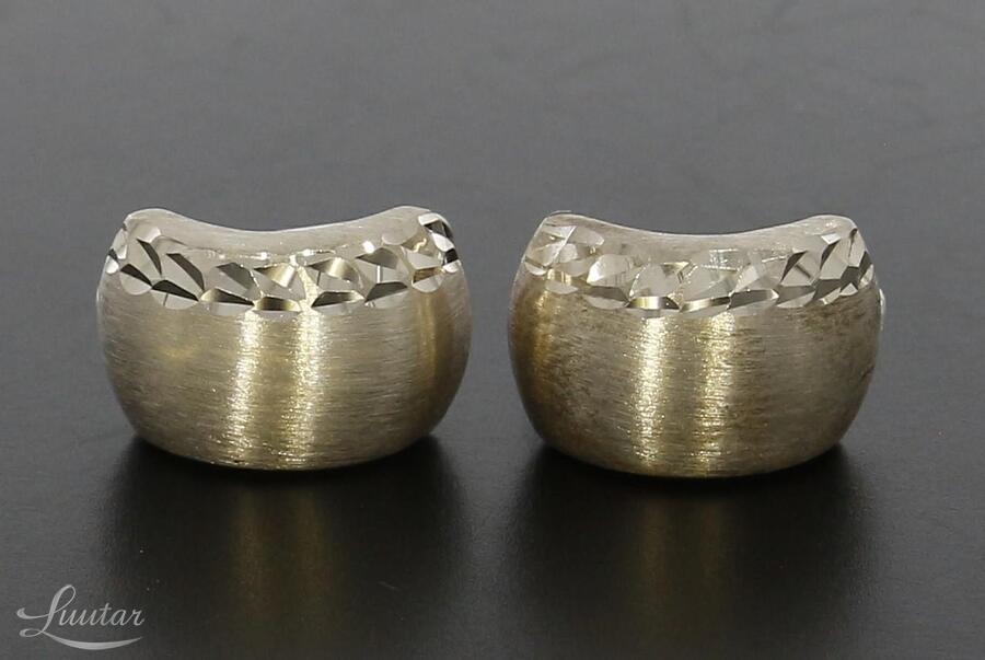 Hõbekõrvarõngad 925* 