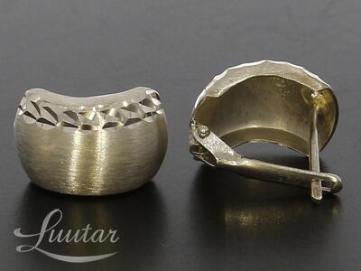 Hõbekõrvarõngad 925* 