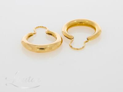 Kuldkõrvarõngad 583*