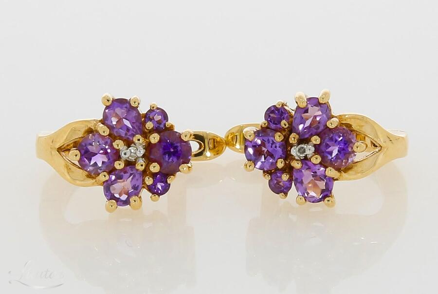 Kuldkõrvarõngad 585*