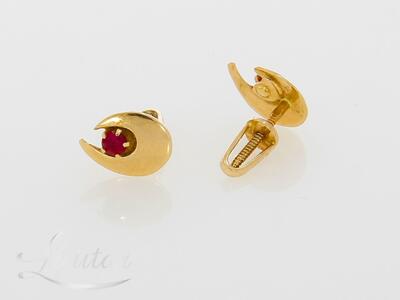 Kuldkõrvarõngad 585*