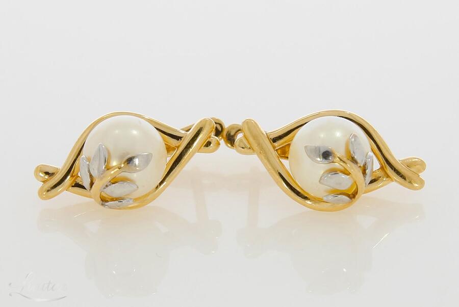 Kuldkõrvarõngad 585*