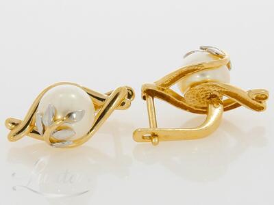 Kuldkõrvarõngad 585*