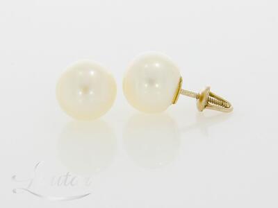 Kuldkõrvarõngad 585* Pärlitega