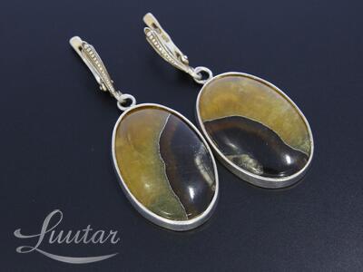 Hõbe klotser + kulon + kõrvarõngad 925*