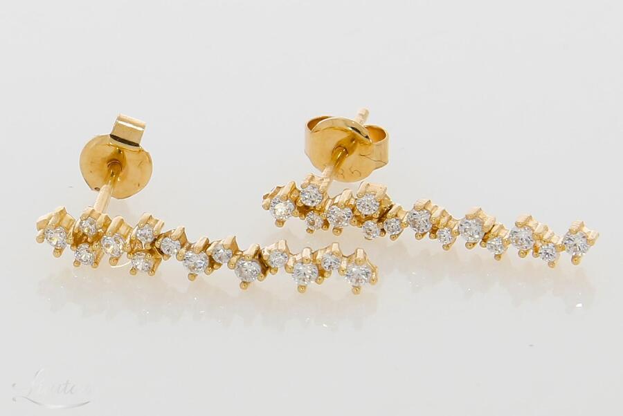 Kuldkõrvarõngad 585*