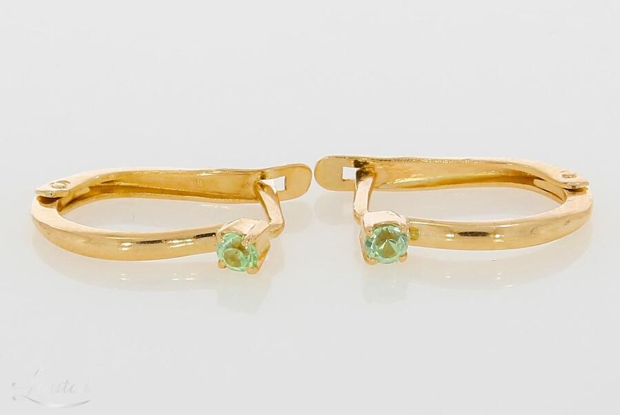 Kuldkõrvarõngad 585*