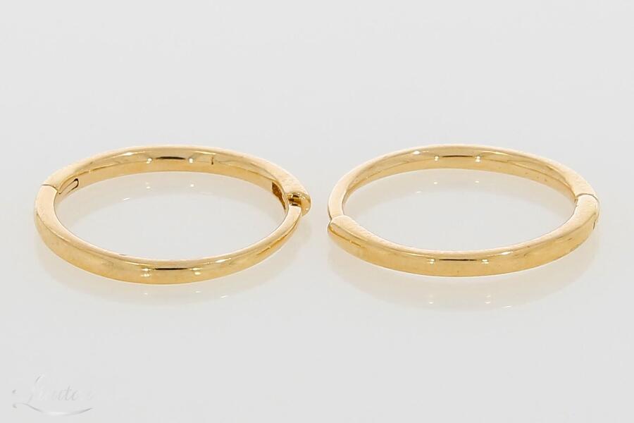 Kuldkõrvarõngad 585*