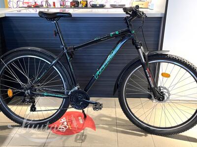 Jalgratas Freerider F29