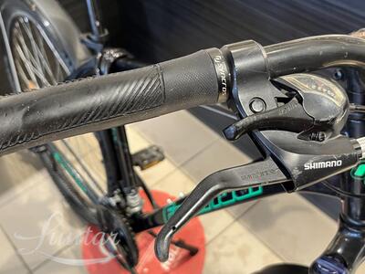 Jalgratas Freerider F29