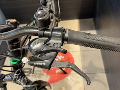 Jalgratas Freerider F29