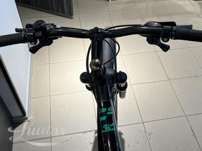 Jalgratas Freerider F29