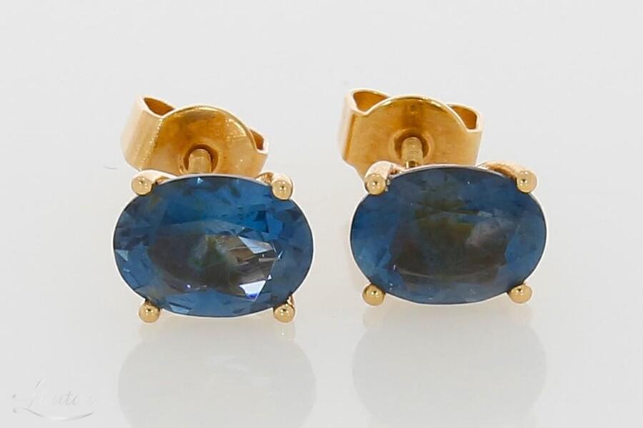 Kuldkõrvarõngad 585*