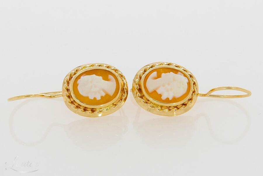 Kuldkõrvarõngad 585*