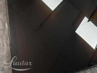 Tahvelarvuti Samsung Galaxy Tab A9+ 5G (SM-X216B)