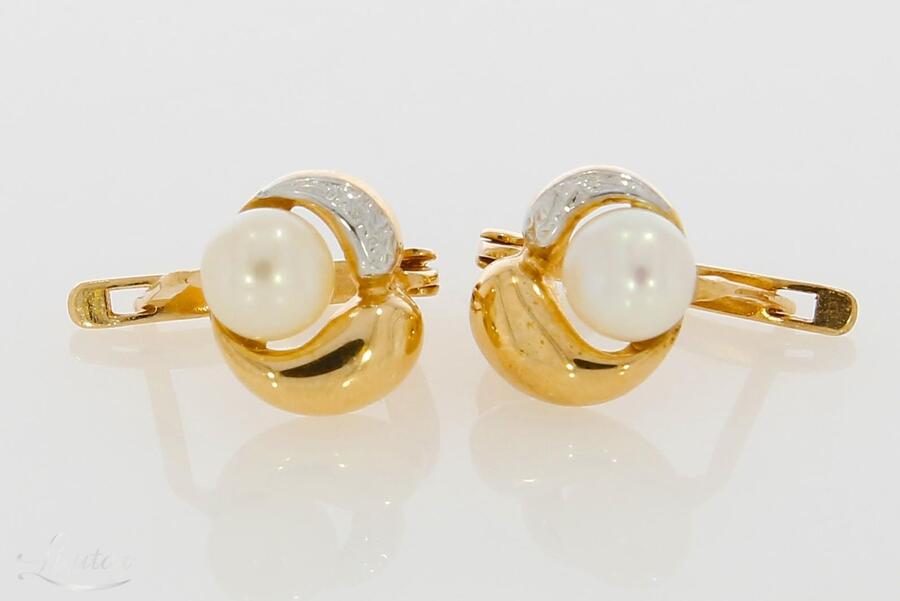 Kuldkõrvarõngad 585*