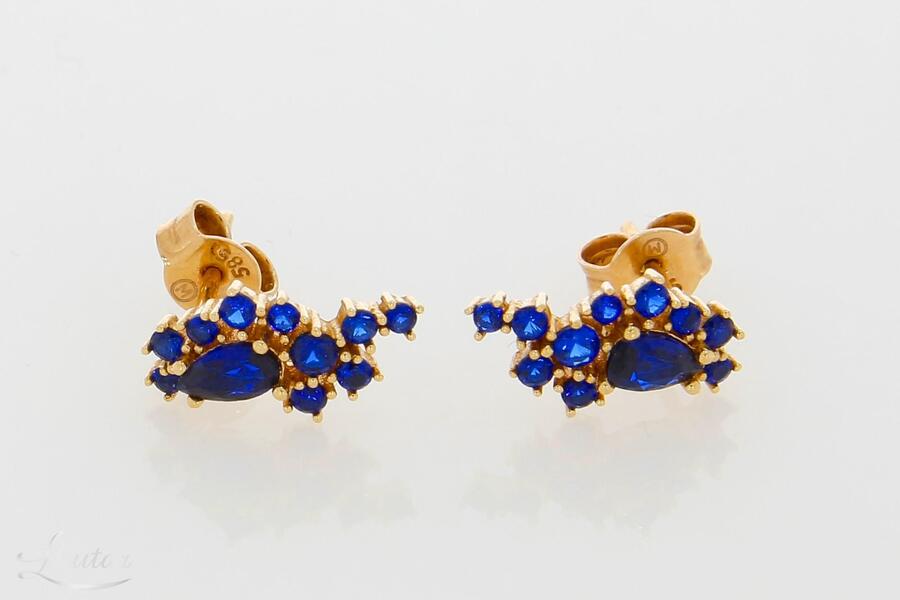 Kuldkõrvarõngad 585*