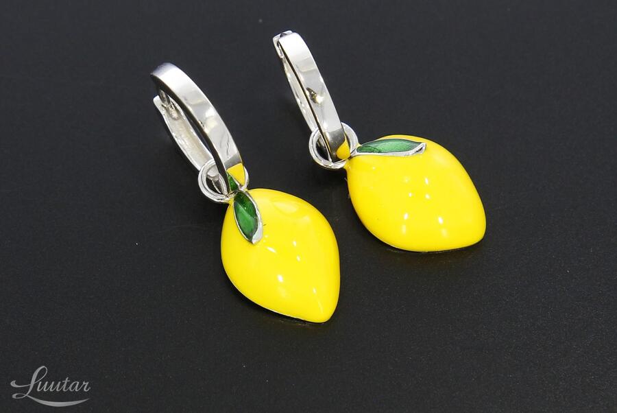 Hõbekõrvarõngad 925* UUED!