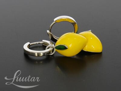 Hõbekõrvarõngad 925* UUED!