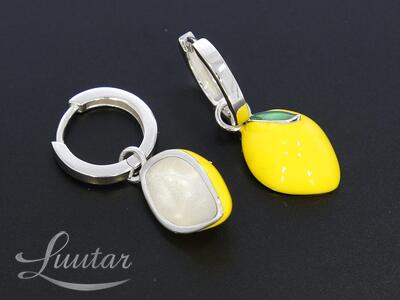 Hõbekõrvarõngad 925* UUED!