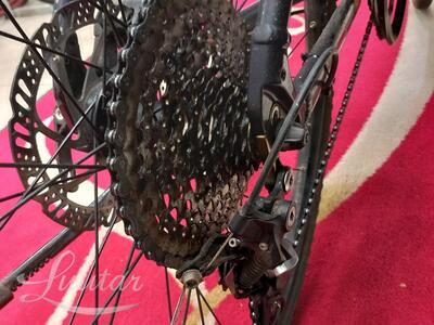 Jalgratas SC Trainer FF 21