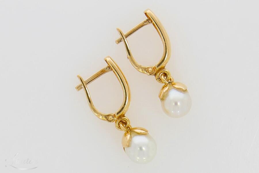 Kuldkõrvarõngad 585*