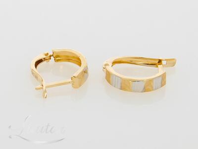 Kuldkõrvarõngad 585*