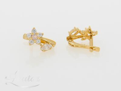 Kuldkõrvarõngad 585*