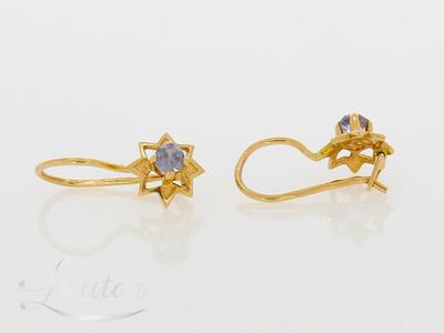 Kuldkõrvarõngad 583*