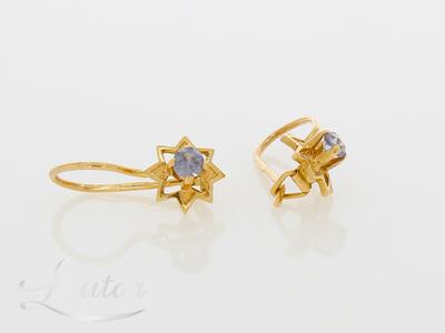 Kuldkõrvarõngad 583*