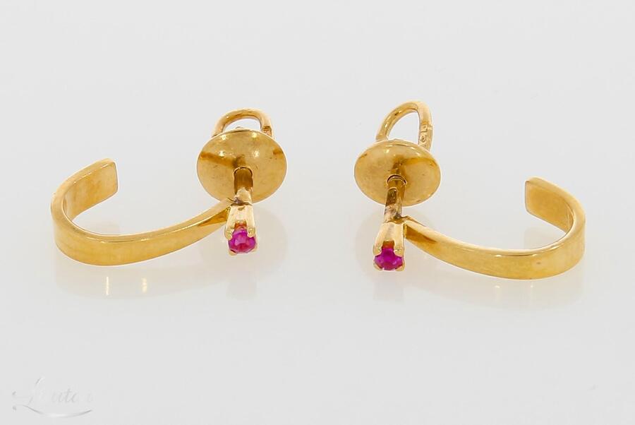 Kuldkõrvarõngad 583*